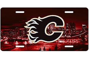 License Plate Flames 65 with Personalized Design Metal Car Tag Decorative for Men Women 15x30cm Universal Auto Accessories