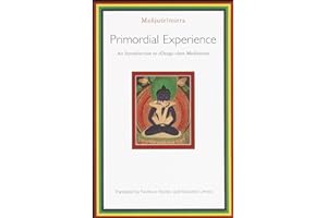 Primordial Experience: An Introduction to Dzog-chen Meditation (Introduction to Rdzogs-Chen Meditation)