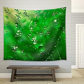 Organic Green - Fabric Wall Tapestry Home Decor - 51x60 inches
