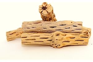 NilocG Aquatics 4 Pieces 7-8" Long Natural Cholla Wood for Aquarium Decoration
