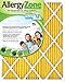 AllergyZone AZ16251 Air Filter for Allergy Sufferers, 16 x 25 x 1