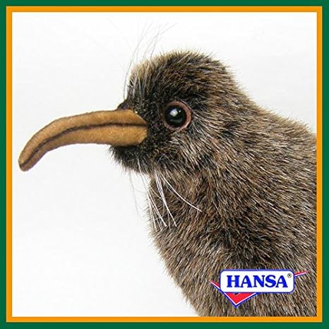hansa kiwi