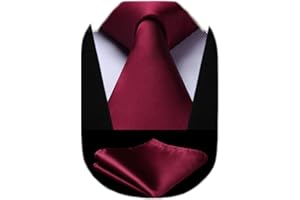 HISDERN Mens Solid Color Ties Formal Satin Necktie and Pocket Square Set Classic Wedding Business Tie & Handkerchief
