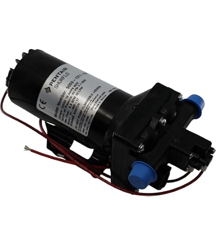 Amazon.com: Hypro 12 Volt Demand Pump 1/2