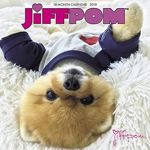 Jiffpom 2018 Wall Calendar (Dog Breed Calendar)