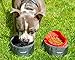 Leash Boss Collapsible Dog Bowls - Two Large 64 Ounce Folding Travel Water and Food Bowls (7.5 x 3.5 Inch, Grey)