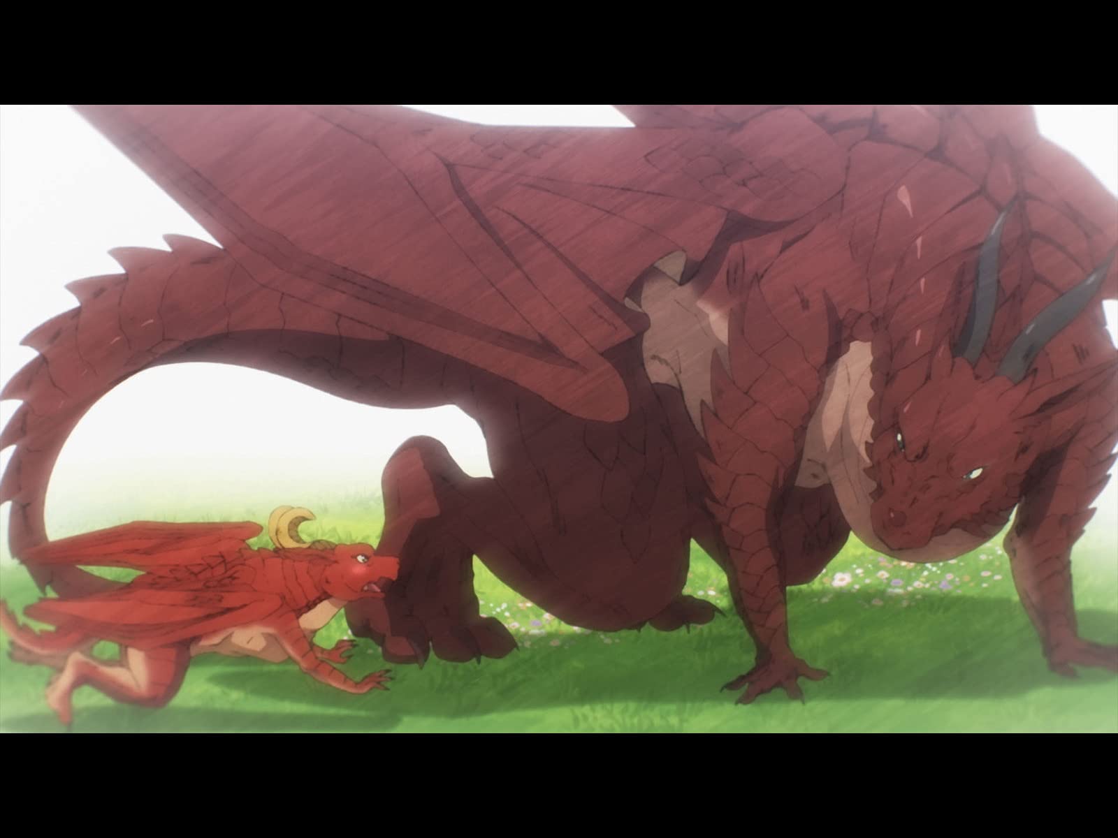 Amazon Co Jp ドラゴン 家を買う を観る Prime Video