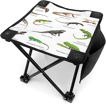 Amazon アウトドア 椅子 異なる種類のトカゲ アウトドア 椅子 ピクニック 釣り コンパクト イス 持ち運び キャンプ用軽量 収納バッグ付き 折りたたみチェア レジャー 背もたれなし 行く テーブル