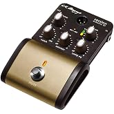 L.R. Baggs Session DI Acoustic Guitar Preamp and DI