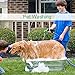 GDEALER Garden Hose Nozzle 9 Pattern Hand Spray Nozzle Heavy Duty Hand Free Clip High Pressure Water Hose Nozzle for Watering Plants, Car Wash and Showering Pets with 2 Extra Rubber Gaskets