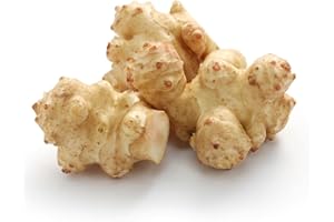 Fresh Tubers Jerusalem Artichokes for Planting OR Eating by Greenhouse PCA | AKA: Sunchokes, Sunroot or Wild Sunflower) (10)