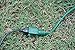 Woods Yard Master Light Duty Outdoor Extension Cord, 20Ft, 16 Gauge, 3 Conductor, Landscape and Patio Cord, Green, 160001