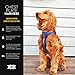 EzyDog Chest Plate No Pull Dog Harness – Escape Proof Harness with Reflective Stitching and Comfort Padding for Easy Walks, Training & Control - Car Restraint Included (Large, Black)