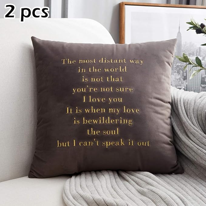 Funda de Cojín Decorativo para Sofá, Morbuy 2 Piezas Bordado Terciopelo