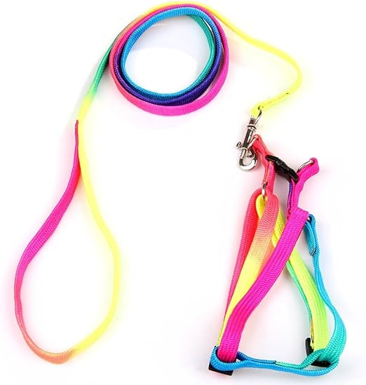 rainbow rope leash