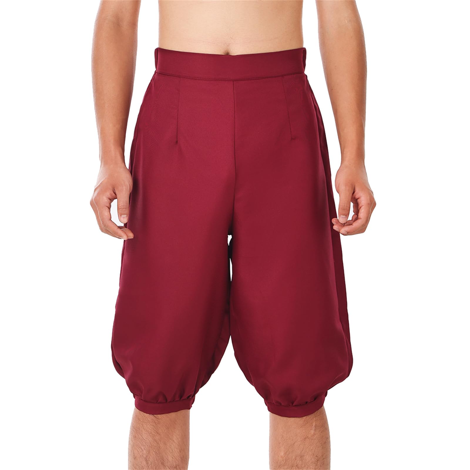 BLESSUME Vintage Trousers Men Viking Pants Fancy Costume (XL,Wine Red)