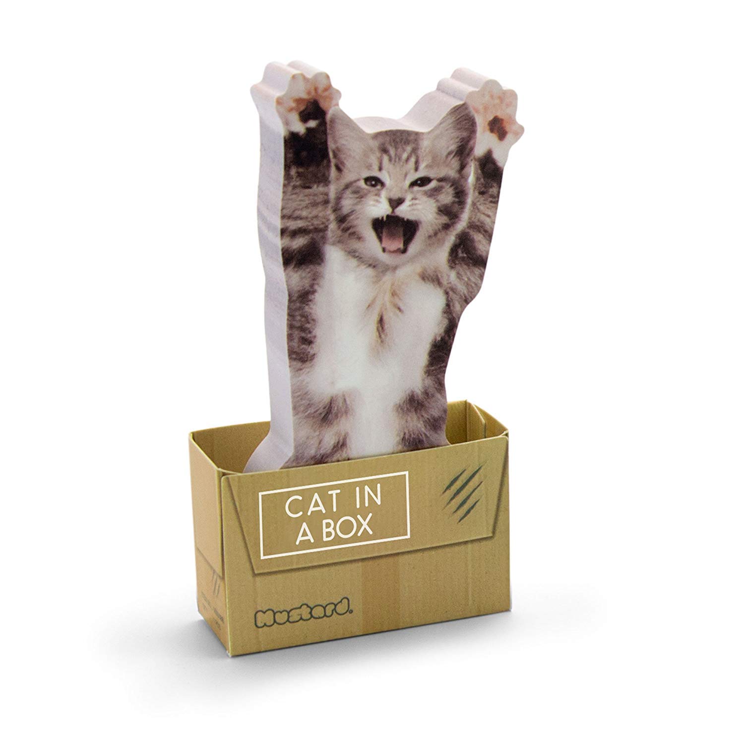 Mustard "Cat In A Box" Sticky Notes Pad