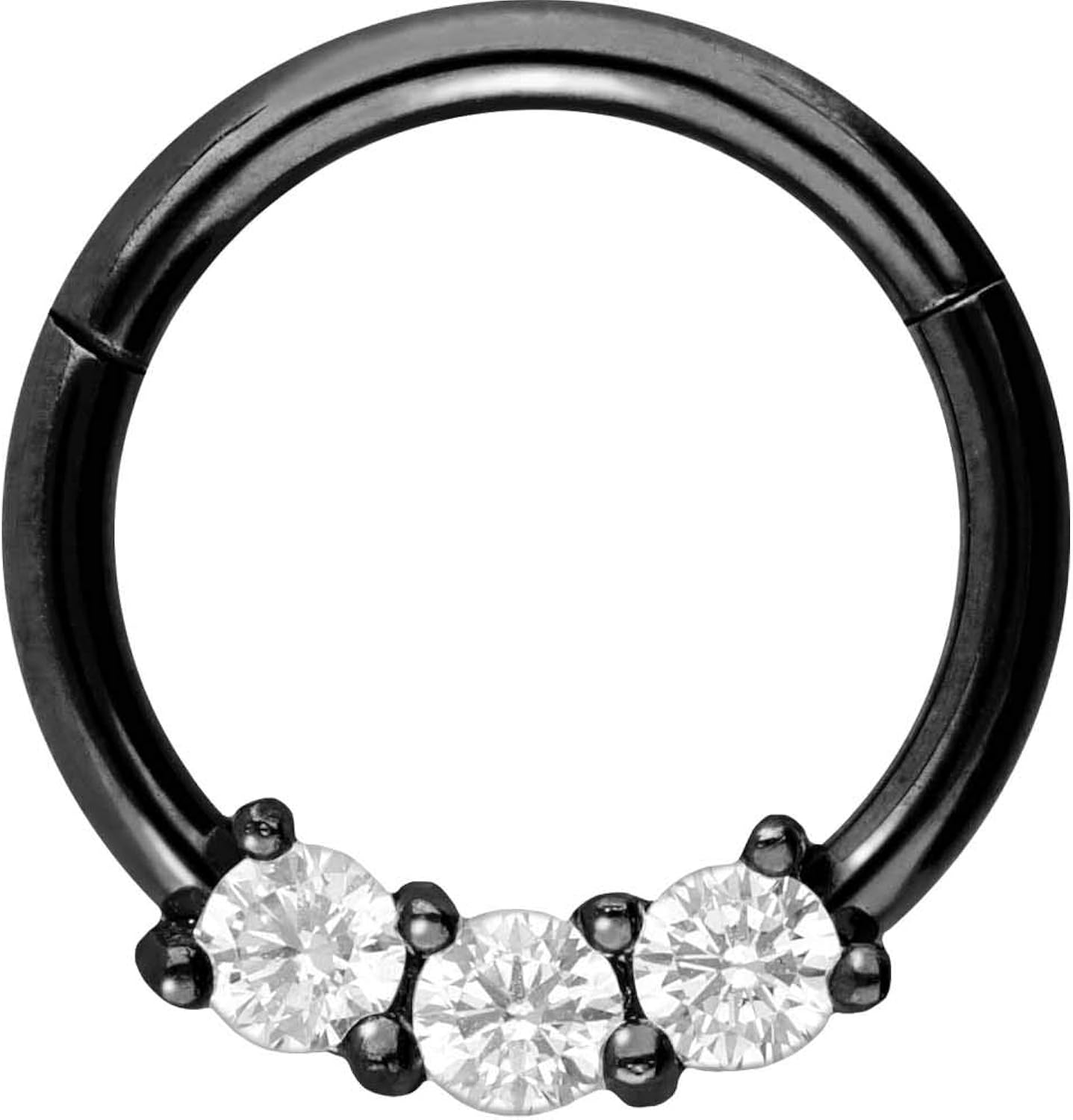 PIERCINGLINE Surgical Steel 316L Segment Ring, Black