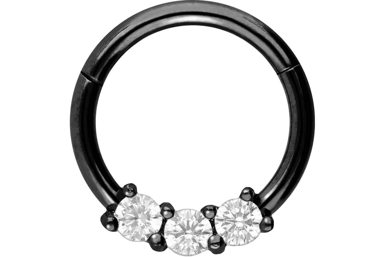 PIERCINGLINE Surgical Steel 316L Segment Ring | Piercing for Septum Tragus Helix and More