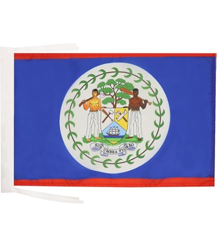 SPAGNA, PRIMO PERIODO FRANCISCO FRANCO Bandiera Con Le Armi Della Spagna Franchista | Bertolami - Foto 3