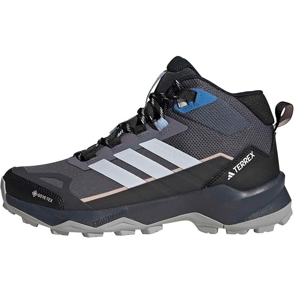 Amazon.com | adidas Terrex Ax4 Mid GTX W Shoe, Silver Violet/Blue