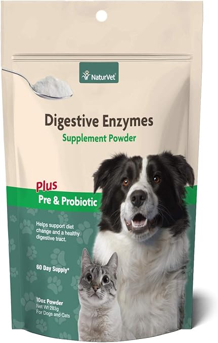 golden retriever and jack russell