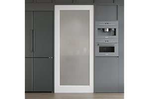 WIN STELLAR WINSTELLAR 32 x 80 Prebuilt Interior Frosted Glass Door Slab, Paintable Interior Doors for Home, Bedroom, Pantry, Laundry Room as Prehung, Pocket, French, Barn Doors, White Door Panel