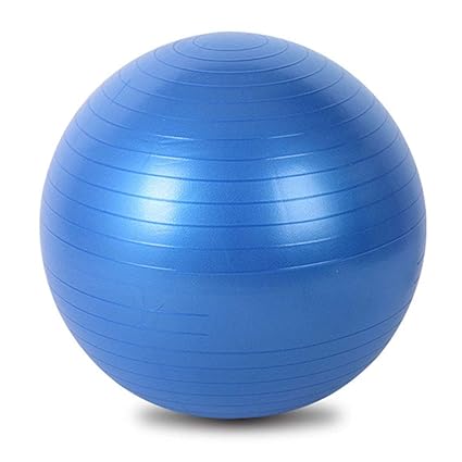 Amazon.com: HONGNA Explosion-Proof Yoga Ball 55cm PVC ...