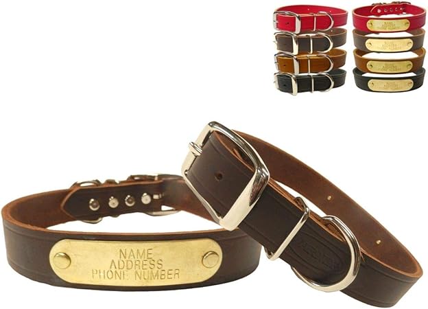 leather dog collars