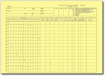 Amazon.com: Formulario de nómina de pagos – Hoja de datos para nóminas de pagos computadorizadas: Office Products