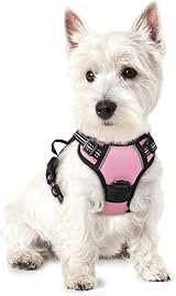rabbitgoo Dog Harness Small No Pull Adjustable Reflective Pink XS