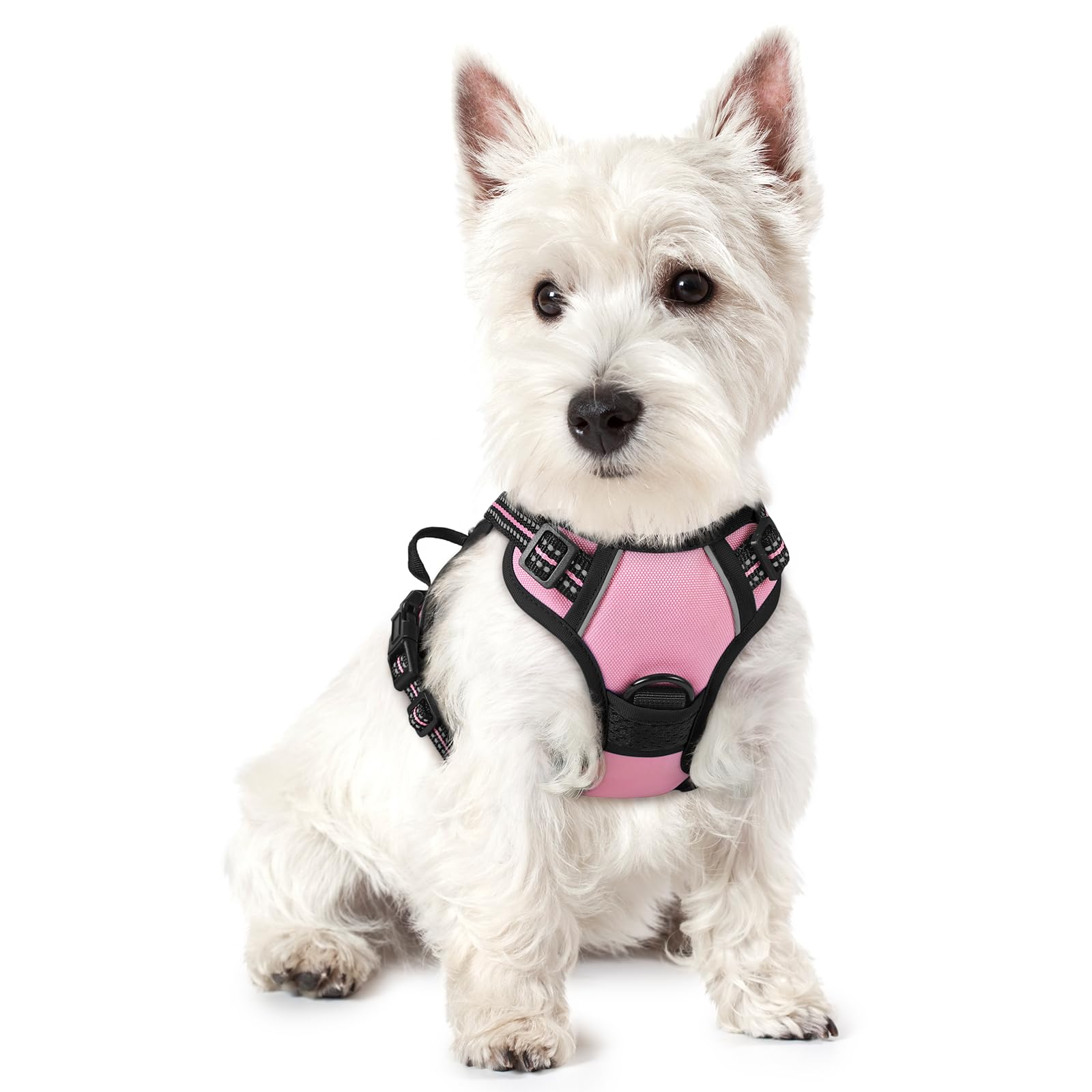 rabbitgoo Dog Harness Small Dog No Pull Pet Harness with 2 Leash Clips, Adjustable Soft Padded Pet Vest, Reflective No-Choke with Easy Control Handle for Training or Walking, Pink, XS