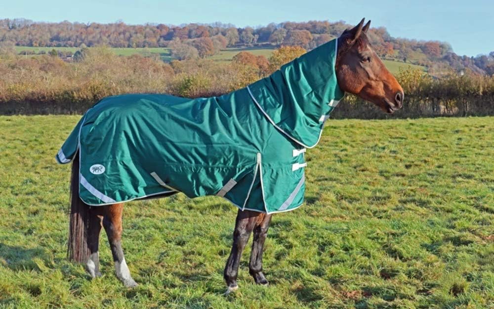 Green 75g Filling Ballistic Nylon Horse Rug Swish Equestrian 1680D