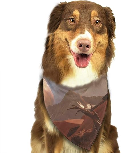 matching baby bib and dog bandana