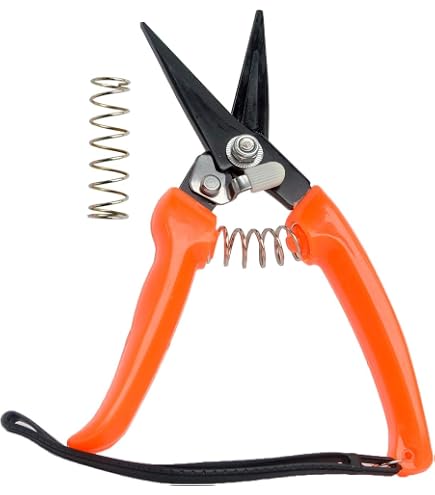 Amazon.com : Zenport Z116 Hoof and Floral Trimming Shear with Twin