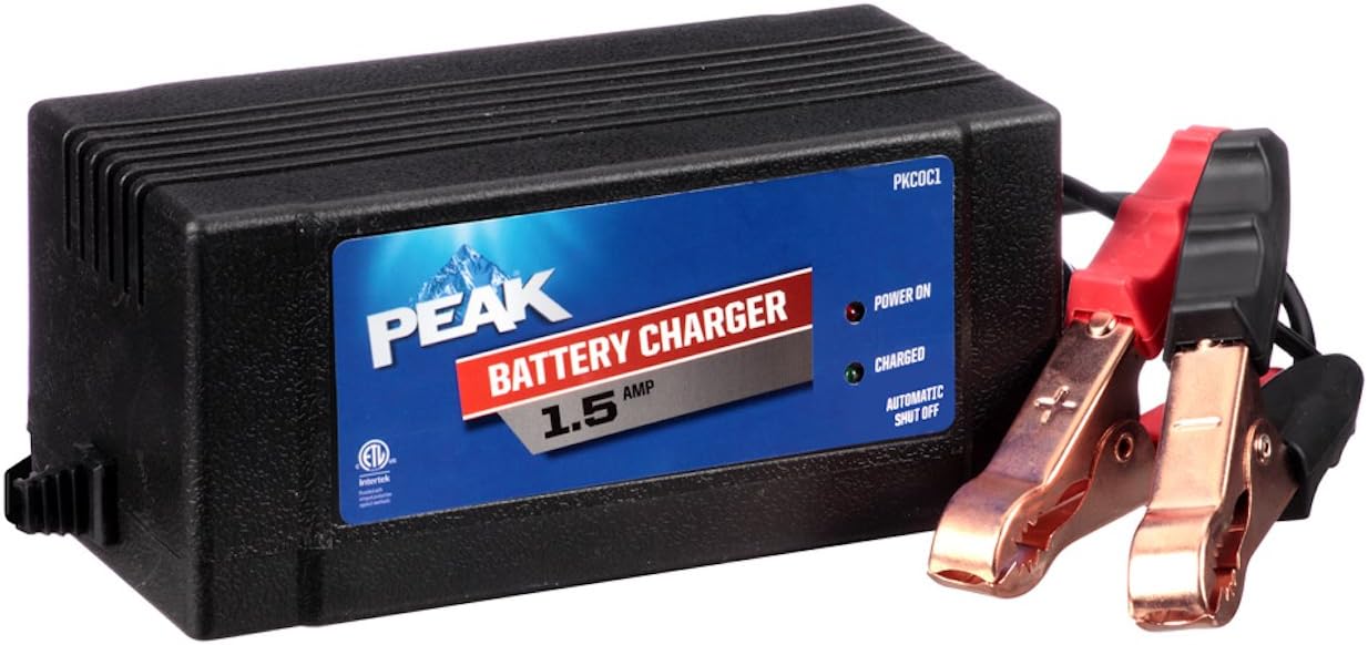 Best Peak 900 Amp Jump Starter With Inflator Home Appliances