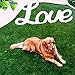 MTBRO Artificial Grass for Dogs, 3ft X 5ft X 1.5in Dog Grass Pad, Outdoor Dog Pee Grass and Grass Pad for Dogs, Professional Fake Grass for Patio.