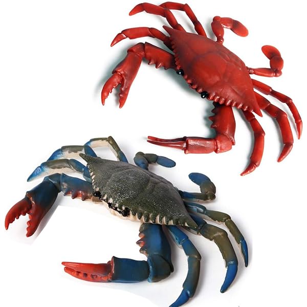 Crabs: A Global Natural History : Davie, Peter J F: Amazon.com.mx