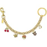 Bag Charm for Handbags,Purse Extender Chain Cute Wallet Chain Purse Accessories for Women