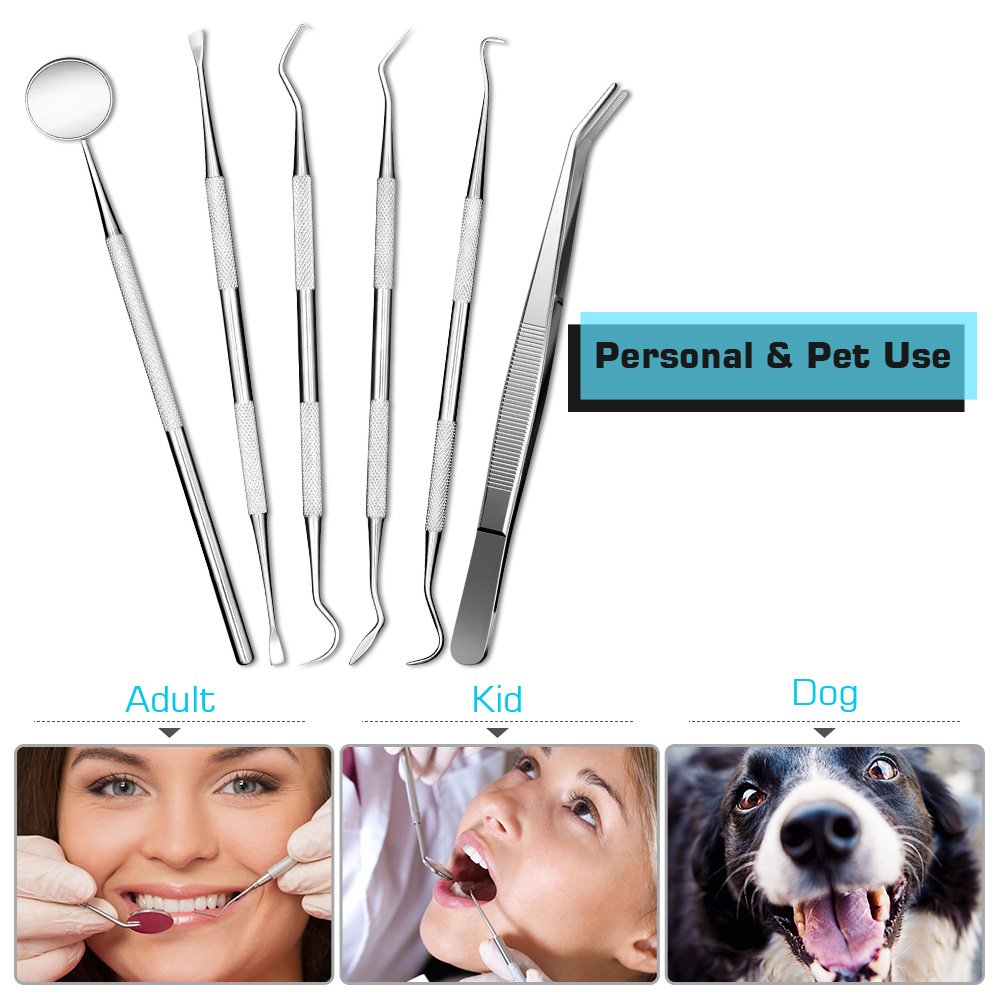 How To Use A Dental Scaler To Remove Tartar At Home / Dental Tools Kit