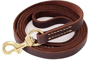 FAIRIWN Genuine Leather Dog Leash 6 Foot Long for Large Big Medium Small Dogs Cuir Laisse Chien Heavy Duty 6Ft Training Leash