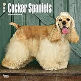 Cocker Spaniels 2018 Monthly Square Wall Calendar