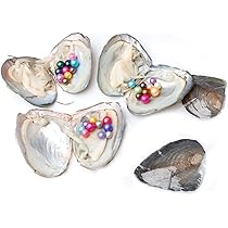 Real Pearls Freshwater Cultured Love Wsh Pearl Oyster Oyster