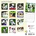 Shih Tzu Puppies 2018 Calendar