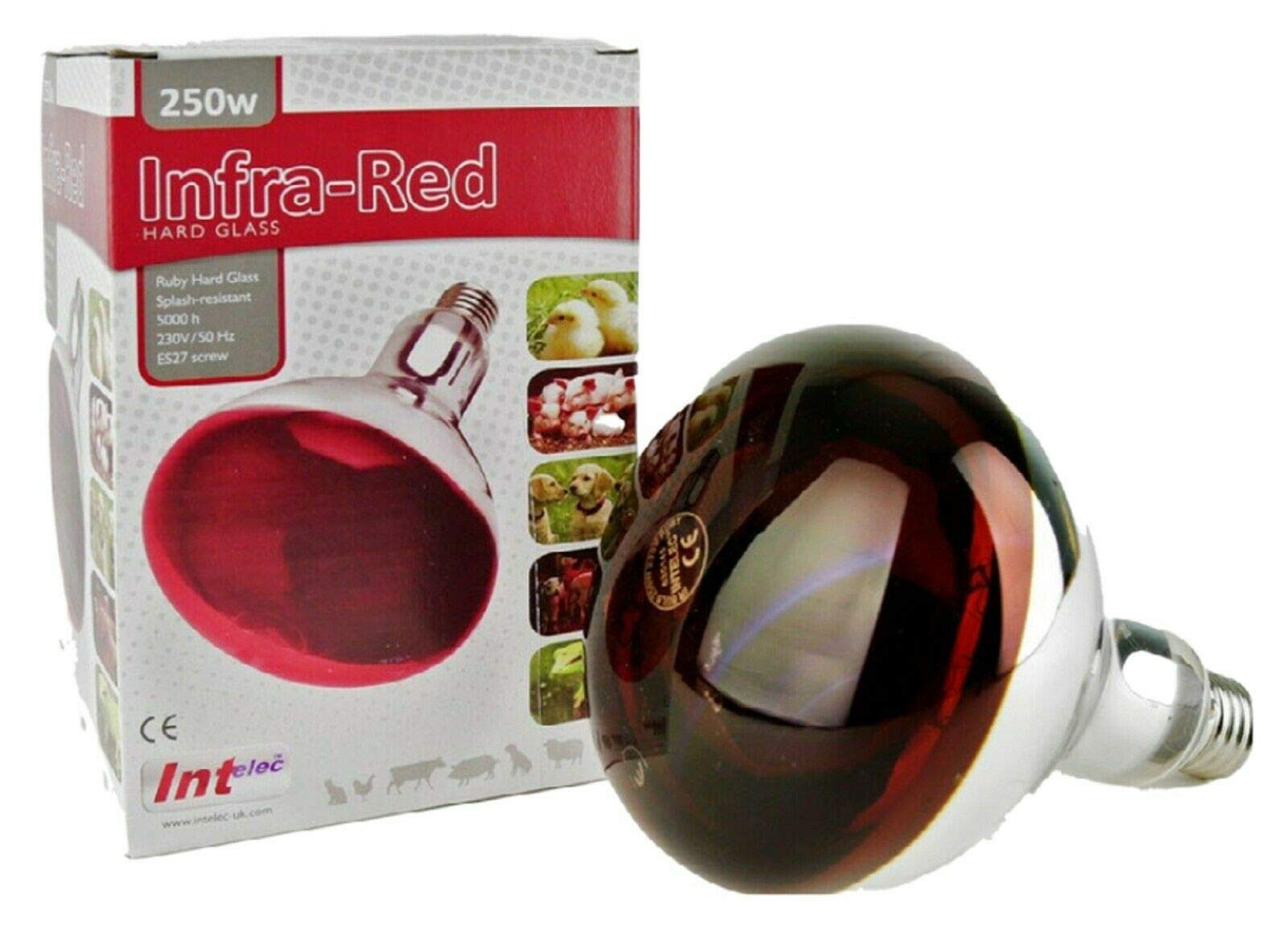 Intelec Uk INFRA RED HEAT BULB LAMP RUBY 250W poultry chick brooder lambs livestock heat lamp