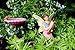 PRETMANNS Fairy Garden Fairies – Accessories & Miniature Garden Furniture - Fairy Garden Supplies - 7 Pieces