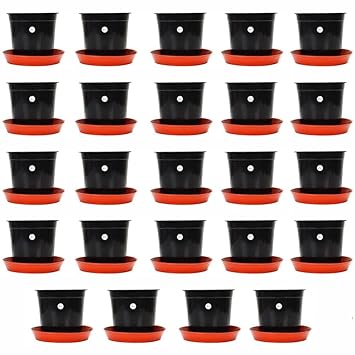 Kraft Seeds Gamla/Planter/Pot 6 (Pack of 24 Pots) (Black Colour Pot) with Bottom Plate/Tray (24 Pcs) SKSPLN033