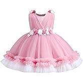 Flower Girl Dress for Toddler Baby Girls Flower Tulle Tutu Dress Infant Formal Pageant Princess Party Birthday Dresses