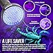 McDoer Blacklight Flashlight UV 109 LED with Ultraviolet Ink Marker for Urine Detection, Finding Scorpions, and Dog Cat Pee - 18 Watt, 385-395nm