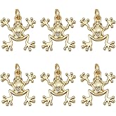 DELORIGIN 6 Pcs Gold Frog Pendant Charm with Cubic Zirconia Accents Animal Lucky Micro Pave Golden Frog Dangle Charms for Jewelry Making Charm Keychain Bracelets Necklace Accessories Craft
